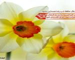 یلدای امسال یلدایی عاشقانه‌تر داریم+تصاویر